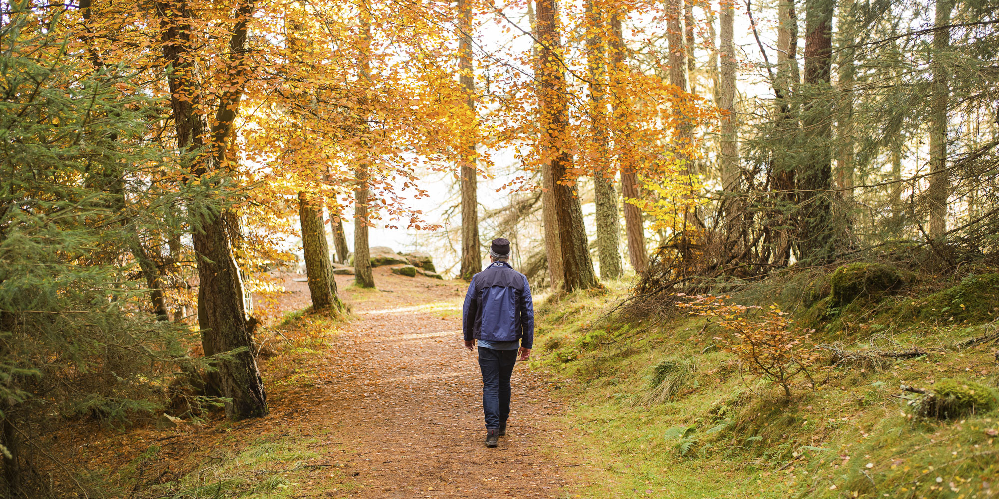 Drummond Hill, Aberfeldy, Scotland in Autumn