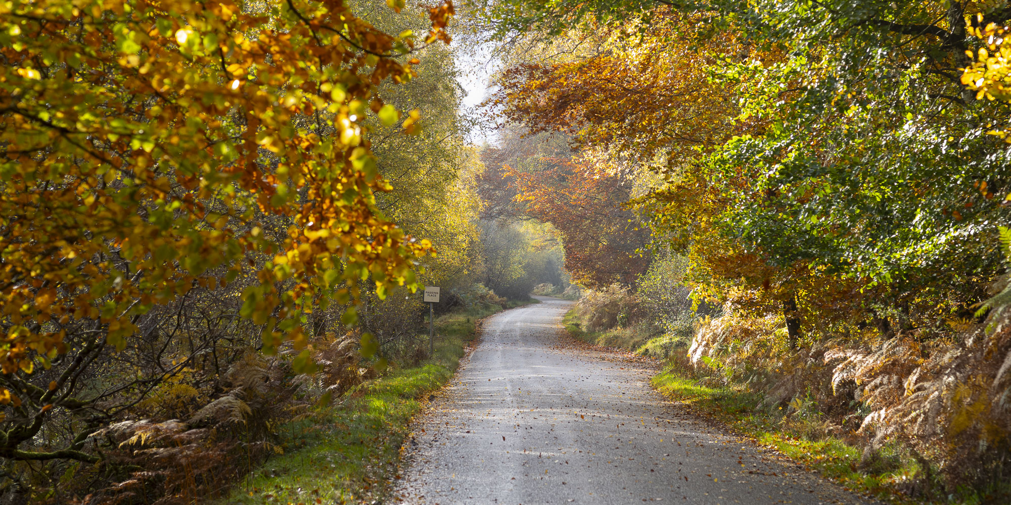 Glen Affric Scotland Autumn Photos