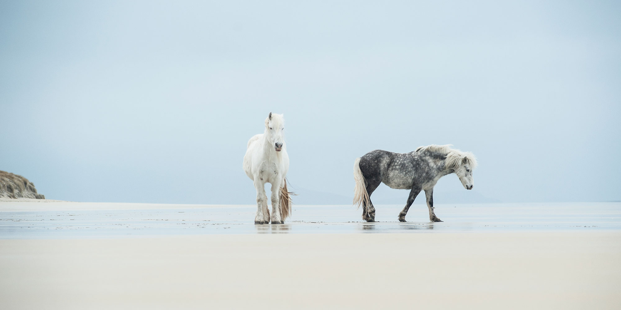 Luskentyre Beach, Horses, Isle of Harris