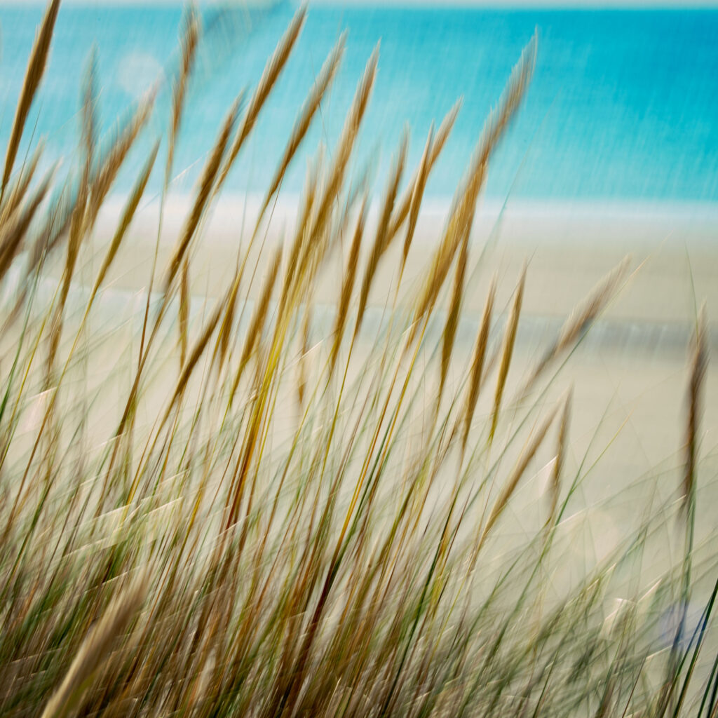 experimental photo art - intentional camera movement beach