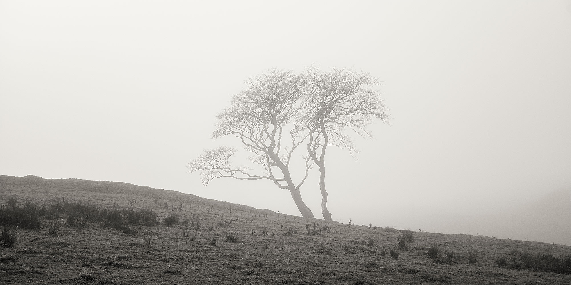 minimal photography