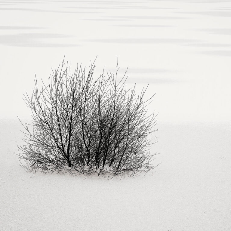 {"type":"elementor","siteurl":"https://nadinthomson.co.uk/wp-json/","elements":[{"id":"00632c4","elType":"widget","isInner":false,"isLocked":false,"settings":{"wp_gallery":[],"thumbnail_size":"thumbnail","gallery_columns":4,"gallery_display_caption":"","gallery_link":"file","open_lightbox":"default","gallery_rand":"","image_spacing":"","image_spacing_custom":{"unit":"px","size":15,"sizes":[]},"image_border_border":"","image_border_width":{"unit":"px","top":"","right":"","bottom":"","left":"","isLinked":true},"image_border_width_tablet":{"unit":"px","top":"","right":"","bottom":"","left":"","isLinked":true},"image_border_width_mobile":{"unit":"px","top":"","right":"","bottom":"","left":"","isLinked":true},"image_border_color":"","image_border_radius":{"unit":"px","top":"","right":"","bottom":"","left":"","isLinked":true},"image_border_radius_tablet":{"unit":"px","top":"","right":"","bottom":"","left":"","isLinked":true},"image_border_radius_mobile":{"unit":"px","top":"","right":"","bottom":"","left":"","isLinked":true},"align":"center","align_tablet":"","align_mobile":"","text_color":"","typography_typography":"","typography_font_family":"","typography_font_size":{"unit":"px","size":"","sizes":[]},"typography_font_size_tablet":{"unit":"px","size":"","sizes":[]},"typography_font_size_mobile":{"unit":"px","size":"","sizes":[]},"typography_font_weight":"","typography_text_transform":"","typography_font_style":"","typography_text_decoration":"","typography_line_height":{"unit":"px","size":"","sizes":[]},"typography_line_height_tablet":{"unit":"em","size":"","sizes":[]},"typography_line_height_mobile":{"unit":"em","size":"","sizes":[]},"typography_letter_spacing":{"unit":"px","size":"","sizes":[]},"typography_letter_spacing_tablet":{"unit":"px","size":"","sizes":[]},"typography_letter_spacing_mobile":{"unit":"px","size":"","sizes":[]},"typography_word_spacing":{"unit":"px","size":"","sizes":[]},"typography_word_spacing_tablet":{"unit":"em","size":"","sizes":[]},"typography_word_spacing_mobile":{"unit":"em","size":"","sizes":[]},"caption_shadow_text_shadow_type":"","caption_shadow_text_shadow":{"horizontal":0,"vertical":0,"blur":10,"color":"rgba(0,0,0,0.3)"},"caption_space":{"unit":"px","size":"","sizes":[]},"caption_space_tablet":{"unit":"px","size":"","sizes":[]},"caption_space_mobile":{"unit":"px","size":"","sizes":[]},"_title":"","_margin":{"unit":"px","top":"","right":"","bottom":"","left":"","isLinked":true},"_margin_tablet":{"unit":"px","top":"","right":"","bottom":"","left":"","isLinked":true},"_margin_mobile":{"unit":"px","top":"","right":"","bottom":"","left":"","isLinked":true},"_padding":{"unit":"px","top":"","right":"","bottom":"","left":"","isLinked":true},"_padding_tablet":{"unit":"px","top":"","right":"","bottom":"","left":"","isLinked":true},"_padding_mobile":{"unit":"px","top":"","right":"","bottom":"","left":"","isLinked":true},"_element_width":"","_element_width_tablet":"","_element_width_mobile":"","_element_custom_width":{"unit":"%","size":"","sizes":[]},"_element_custom_width_tablet":{"unit":"px","size":"","sizes":[]},"_element_custom_width_mobile":{"unit":"px","size":"","sizes":[]},"_element_vertical_align":"","_element_vertical_align_tablet":"","_element_vertical_align_mobile":"","_position":"","_offset_orientation_h":"start","_offset_x":{"unit":"px","size":0,"sizes":[]},"_offset_x_tablet":{"unit":"px","size":"","sizes":[]},"_offset_x_mobile":{"unit":"px","size":"","sizes":[]},"_offset_x_end":{"unit":"px","size":0,"sizes":[]},"_offset_x_end_tablet":{"unit":"px","size":"","sizes":[]},"_offset_x_end_mobile":{"unit":"px","size":"","sizes":[]},"_offset_orientation_v":"start","_offset_y":{"unit":"px","size":0,"sizes":[]},"_offset_y_tablet":{"unit":"px","size":"","sizes":[]},"_offset_y_mobile":{"unit":"px","size":"","sizes":[]},"_offset_y_end":{"unit":"px","size":0,"sizes":[]},"_offset_y_end_tablet":{"unit":"px","size":"","sizes":[]},"_offset_y_end_mobile":{"unit":"px","size":"","sizes":[]},"_z_index":"","_z_index_tablet":"","_z_index_mobile":"","_element_id":"","_css_classes":"","e_display_conditions":"","_element_cache":"","motion_fx_motion_fx_scrolling":"","motion_fx_translateY_effect":"","motion_fx_translateY_direction":"","motion_fx_translateY_speed":{"unit":"px","size":4,"sizes":[]},"motion_fx_translateY_affectedRange":{"unit":"%","size":"","sizes":{"start":0,"end":100}},"motion_fx_translateX_effect":"","motion_fx_translateX_direction":"","motion_fx_translateX_speed":{"unit":"px","size":4,"sizes":[]},"motion_fx_translateX_affectedRange":{"unit":"%","size":"","sizes":{"start":0,"end":100}},"motion_fx_opacity_effect":"","motion_fx_opacity_direction":"out-in","motion_fx_opacity_level":{"unit":"px","size":10,"sizes":[]},"motion_fx_opacity_range":{"unit":"%","size":"","sizes":{"start":20,"end":80}},"motion_fx_blur_effect":"","motion_fx_blur_direction":"out-in","motion_fx_blur_level":{"unit":"px","size":7,"sizes":[]},"motion_fx_blur_range":{"unit":"%","size":"","sizes":{"start":20,"end":80}},"motion_fx_rotateZ_effect":"","motion_fx_rotateZ_direction":"","motion_fx_rotateZ_speed":{"unit":"px","size":1,"sizes":[]},"motion_fx_rotateZ_affectedRange":{"unit":"%","size":"","sizes":{"start":0,"end":100}},"motion_fx_scale_effect":"","motion_fx_scale_direction":"out-in","motion_fx_scale_speed":{"unit":"px","size":4,"sizes":[]},"motion_fx_scale_range":{"unit":"%","size":"","sizes":{"start":20,"end":80}},"motion_fx_transform_origin_x":"center","motion_fx_transform_origin_y":"center","motion_fx_devices":["desktop","tablet","mobile"],"motion_fx_range":"","motion_fx_motion_fx_mouse":"","motion_fx_mouseTrack_effect":"","motion_fx_mouseTrack_direction":"","motion_fx_mouseTrack_speed":{"unit":"px","size":1,"sizes":[]},"motion_fx_tilt_effect":"","motion_fx_tilt_direction":"","motion_fx_tilt_speed":{"unit":"px","size":4,"sizes":[]},"handle_motion_fx_asset_loading":"","sticky":"","sticky_on":["desktop","tablet","mobile"],"sticky_offset":0,"sticky_offset_tablet":"","sticky_offset_mobile":"","sticky_effects_offset":0,"sticky_effects_offset_tablet":"","sticky_effects_offset_mobile":"","sticky_anchor_link_offset":0,"sticky_anchor_link_offset_tablet":"","sticky_anchor_link_offset_mobile":"","sticky_parent":"","_animation":"","_animation_tablet":"","_animation_mobile":"","animation_duration":"","_animation_delay":"","_transform_rotate_popover":"","_transform_rotateZ_effect":{"unit":"px","size":"","sizes":[]},"_transform_rotateZ_effect_tablet":{"unit":"deg","size":"","sizes":[]},"_transform_rotateZ_effect_mobile":{"unit":"deg","size":"","sizes":[]},"_transform_rotate_3d":"","_transform_rotateX_effect":{"unit":"px","size":"","sizes":[]},"_transform_rotateX_effect_tablet":{"unit":"deg","size":"","sizes":[]},"_transform_rotateX_effect_mobile":{"unit":"deg","size":"","sizes":[]},"_transform_rotateY_effect":{"unit":"px","size":"","sizes":[]},"_transform_rotateY_effect_tablet":{"unit":"deg","size":"","sizes":[]},"_transform_rotateY_effect_mobile":{"unit":"deg","size":"","sizes":[]},"_transform_perspective_effect":{"unit":"px","size":"","sizes":[]},"_transform_perspective_effect_tablet":{"unit":"px","size":"","sizes":[]},"_transform_perspective_effect_mobile":{"unit":"px","size":"","sizes":[]},"_transform_translate_popover":"","_transform_translateX_effect":{"unit":"px","size":"","sizes":[]},"_transform_translateX_effect_tablet":{"unit":"px","size":"","sizes":[]},"_transform_translateX_effect_mobile":{"unit":"px","size":"","sizes":[]},"_transform_translateY_effect":{"unit":"px","size":"","sizes":[]},"_transform_translateY_effect_tablet":{"unit":"px","size":"","sizes":[]},"_transform_translateY_effect_mobile":{"unit":"px","size":"","sizes":[]},"_transform_scale_popover":"","_transform_keep_proportions":"yes","_transform_scale_effect":{"unit":"px","size":"","sizes":[]},"_transform_scale_effect_tablet":{"unit":"px","size":"","sizes":[]},"_transform_scale_effect_mobile":{"unit":"px","size":"","sizes":[]},"_transform_scaleX_effect":{"unit":"px","size":"","sizes":[]},"_transform_scaleX_effect_tablet":{"unit":"px","size":"","sizes":[]},"_transform_scaleX_effect_mobile":{"unit":"px","size":"","sizes":[]},"_transform_scaleY_effect":{"unit":"px","size":"","sizes":[]},"_transform_scaleY_effect_tablet":{"unit":"px","size":"","sizes":[]},"_transform_scaleY_effect_mobile":{"unit":"px","size":"","sizes":[]},"_transform_skew_popover":"","_transform_skewX_effect":{"unit":"px","size":"","sizes":[]},"_transform_skewX_effect_tablet":{"unit":"deg","size":"","sizes":[]},"_transform_skewX_effect_mobile":{"unit":"deg","size":"","sizes":[]},"_transform_skewY_effect":{"unit":"px","size":"","sizes":[]},"_transform_skewY_effect_tablet":{"unit":"deg","size":"","sizes":[]},"_transform_skewY_effect_mobile":{"unit":"deg","size":"","sizes":[]},"_transform_flipX_effect":"","_transform_flipY_effect":"","_transform_rotate_popover_hover":"","_transform_rotateZ_effect_hover":{"unit":"px","size":"","sizes":[]},"_transform_rotateZ_effect_hover_tablet":{"unit":"deg","size":"","sizes":[]},"_transform_rotateZ_effect_hover_mobile":{"unit":"deg","size":"","sizes":[]},"_transform_rotate_3d_hover":"","_transform_rotateX_effect_hover":{"unit":"px","size":"","sizes":[]},"_transform_rotateX_effect_hover_tablet":{"unit":"deg","size":"","sizes":[]},"_transform_rotateX_effect_hover_mobile":{"unit":"deg","size":"","sizes":[]},"_transform_rotateY_effect_hover":{"unit":"px","size":"","sizes":[]},"_transform_rotateY_effect_hover_tablet":{"unit":"deg","size":"","sizes":[]},"_transform_rotateY_effect_hover_mobile":{"unit":"deg","size":"","sizes":[]},"_transform_perspective_effect_hover":{"unit":"px","size":"","sizes":[]},"_transform_perspective_effect_hover_tablet":{"unit":"px","size":"","sizes":[]},"_transform_perspective_effect_hover_mobile":{"unit":"px","size":"","sizes":[]},"_transform_translate_popover_hover":"","_transform_translateX_effect_hover":{"unit":"px","size":"","sizes":[]},"_transform_translateX_effect_hover_tablet":{"unit":"px","size":"","sizes":[]},"_transform_translateX_effect_hover_mobile":{"unit":"px","size":"","sizes":[]},"_transform_translateY_effect_hover":{"unit":"px","size":"","sizes":[]},"_transform_translateY_effect_hover_tablet":{"unit":"px","size":"","sizes":[]},"_transform_translateY_effect_hover_mobile":{"unit":"px","size":"","sizes":[]},"_transform_scale_popover_hover":"","_transform_keep_proportions_hover":"yes","_transform_scale_effect_hover":{"unit":"px","size":"","sizes":[]},"_transform_scale_effect_hover_tablet":{"unit":"px","size":"","sizes":[]},"_transform_scale_effect_hover_mobile":{"unit":"px","size":"","sizes":[]},"_transform_scaleX_effect_hover":{"unit":"px","size":"","sizes":[]},"_transform_scaleX_effect_hover_tablet":{"unit":"px","size":"","sizes":[]},"_transform_scaleX_effect_hover_mobile":{"unit":"px","size":"","sizes":[]},"_transform_scaleY_effect_hover":{"unit":"px","size":"","sizes":[]},"_transform_scaleY_effect_hover_tablet":{"unit":"px","size":"","sizes":[]},"_transform_scaleY_effect_hover_mobile":{"unit":"px","size":"","sizes":[]},"_transform_skew_popover_hover":"","_transform_skewX_effect_hover":{"unit":"px","size":"","sizes":[]},"_transform_skewX_effect_hover_tablet":{"unit":"deg","size":"","sizes":[]},"_transform_skewX_effect_hover_mobile":{"unit":"deg","size":"","sizes":[]},"_transform_skewY_effect_hover":{"unit":"px","size":"","sizes":[]},"_transform_skewY_effect_hover_tablet":{"unit":"deg","size":"","sizes":[]},"_transform_skewY_effect_hover_mobile":{"unit":"deg","size":"","sizes":[]},"_transform_flipX_effect_hover":"","_transform_flipY_effect_hover":"","_transform_transition_hover":{"unit":"px","size":"","sizes":[]},"motion_fx_transform_x_anchor_point":"","motion_fx_transform_x_anchor_point_tablet":"","motion_fx_transform_x_anchor_point_mobile":"","motion_fx_transform_y_anchor_point":"","motion_fx_transform_y_anchor_point_tablet":"","motion_fx_transform_y_anchor_point_mobile":"","_background_background":"","_background_color":"","_background_color_stop":{"unit":"%","size":0,"sizes":[]},"_background_color_stop_tablet":{"unit":"%"},"_background_color_stop_mobile":{"unit":"%"},"_background_color_b":"#f2295b","_background_color_b_stop":{"unit":"%","size":100,"sizes":[]},"_background_color_b_stop_tablet":{"unit":"%"},"_background_color_b_stop_mobile":{"unit":"%"},"_background_gradient_type":"linear","_background_gradient_angle":{"unit":"deg","size":180,"sizes":[]},"_background_gradient_angle_tablet":{"unit":"deg"},"_background_gradient_angle_mobile":{"unit":"deg"},"_background_gradient_position":"center center","_background_gradient_position_tablet":"","_background_gradient_position_mobile":"","_background_image":{"url":"","id":"","size":""},"_background_image_tablet":{"url":"","id":"","size":""},"_background_image_mobile":{"url":"","id":"","size":""},"_background_position":"","_background_position_tablet":"","_background_position_mobile":"","_background_xpos":{"unit":"px","size":0,"sizes":[]},"_background_xpos_tablet":{"unit":"px","size":0,"sizes":[]},"_background_xpos_mobile":{"unit":"px","size":0,"sizes":[]},"_background_ypos":{"unit":"px","size":0,"sizes":[]},"_background_ypos_tablet":{"unit":"px","size":0,"sizes":[]},"_background_ypos_mobile":{"unit":"px","size":0,"sizes":[]},"_background_attachment":"","_background_repeat":"","_background_repeat_tablet":"","_background_repeat_mobile":"","_background_size":"","_background_size_tablet":"","_background_size_mobile":"","_background_bg_width":{"unit":"%","size":100,"sizes":[]},"_background_bg_width_tablet":{"unit":"px","size":"","sizes":[]},"_background_bg_width_mobile":{"unit":"px","size":"","sizes":[]},"_background_video_link":"","_background_video_start":"","_background_video_end":"","_background_play_once":"","_background_play_on_mobile":"","_background_privacy_mode":"","_background_video_fallback":{"url":"","id":"","size":""},"_background_slideshow_gallery":[],"_background_slideshow_loop":"yes","_background_slideshow_slide_duration":5000,"_background_slideshow_slide_transition":"fade","_background_slideshow_transition_duration":500,"_background_slideshow_background_size":"","_background_slideshow_background_size_tablet":"","_background_slideshow_background_size_mobile":"","_background_slideshow_background_position":"","_background_slideshow_background_position_tablet":"","_background_slideshow_background_position_mobile":"","_background_slideshow_lazyload":"","_background_slideshow_ken_burns":"","_background_slideshow_ken_burns_zoom_direction":"in","_background_hover_background":"","_background_hover_color":"","_background_hover_color_stop":{"unit":"%","size":0,"sizes":[]},"_background_hover_color_stop_tablet":{"unit":"%"},"_background_hover_color_stop_mobile":{"unit":"%"},"_background_hover_color_b":"#f2295b","_background_hover_color_b_stop":{"unit":"%","size":100,"sizes":[]},"_background_hover_color_b_stop_tablet":{"unit":"%"},"_background_hover_color_b_stop_mobile":{"unit":"%"},"_background_hover_gradient_type":"linear","_background_hover_gradient_angle":{"unit":"deg","size":180,"sizes":[]},"_background_hover_gradient_angle_tablet":{"unit":"deg"},"_background_hover_gradient_angle_mobile":{"unit":"deg"},"_background_hover_gradient_position":"center center","_background_hover_gradient_position_tablet":"","_background_hover_gradient_position_mobile":"","_background_hover_image":{"url":"","id":"","size":""},"_background_hover_image_tablet":{"url":"","id":"","size":""},"_background_hover_image_mobile":{"url":"","id":"","size":""},"_background_hover_position":"","_background_hover_position_tablet":"","_background_hover_position_mobile":"","_background_hover_xpos":{"unit":"px","size":0,"sizes":[]},"_background_hover_xpos_tablet":{"unit":"px","size":0,"sizes":[]},"_background_hover_xpos_mobile":{"unit":"px","size":0,"sizes":[]},"_background_hover_ypos":{"unit":"px","size":0,"sizes":[]},"_background_hover_ypos_tablet":{"unit":"px","size":0,"sizes":[]},"_background_hover_ypos_mobile":{"unit":"px","size":0,"sizes":[]},"_background_hover_attachment":"","_background_hover_repeat":"","_background_hover_repeat_tablet":"","_background_hover_repeat_mobile":"","_background_hover_size":"","_background_hover_size_tablet":"","_background_hover_size_mobile":"","_background_hover_bg_width":{"unit":"%","size":100,"sizes":[]},"_background_hover_bg_width_tablet":{"unit":"px","size":"","sizes":[]},"_background_hover_bg_width_mobile":{"unit":"px","size":"","sizes":[]},"_background_hover_video_link":"","_background_hover_video_start":"","_background_hover_video_end":"","_background_hover_play_once":"","_background_hover_play_on_mobile":"","_background_hover_privacy_mode":"","_background_hover_video_fallback":{"url":"","id":"","size":""},"_background_hover_slideshow_gallery":[],"_background_hover_slideshow_loop":"yes","_background_hover_slideshow_slide_duration":5000,"_background_hover_slideshow_slide_transition":"fade","_background_hover_slideshow_transition_duration":500,"_background_hover_slideshow_background_size":"","_background_hover_slideshow_background_size_tablet":"","_background_hover_slideshow_background_size_mobile":"","_background_hover_slideshow_background_position":"","_background_hover_slideshow_background_position_tablet":"","_background_hover_slideshow_background_position_mobile":"","_background_hover_slideshow_lazyload":"","_background_hover_slideshow_ken_burns":"","_background_hover_slideshow_ken_burns_zoom_direction":"in","_background_hover_transition":{"unit":"px","size":"","sizes":[]},"_border_border":"","_border_width":{"unit":"px","top":"","right":"","bottom":"","left":"","isLinked":true},"_border_width_tablet":{"unit":"px","top":"","right":"","bottom":"","left":"","isLinked":true},"_border_width_mobile":{"unit":"px","top":"","right":"","bottom":"","left":"","isLinked":true},"_border_color":"","_border_radius":{"unit":"px","top":"","right":"","bottom":"","left":"","isLinked":true},"_border_radius_tablet":{"unit":"px","top":"","right":"","bottom":"","left":"","isLinked":true},"_border_radius_mobile":{"unit":"px","top":"","right":"","bottom":"","left":"","isLinked":true},"_box_shadow_box_shadow_type":"","_box_shadow_box_shadow":{"horizontal":0,"vertical":0,"blur":10,"spread":0,"color":"rgba(0,0,0,0.5)"},"_box_shadow_box_shadow_position":" ","_border_hover_border":"","_border_hover_width":{"unit":"px","top":"","right":"","bottom":"","left":"","isLinked":true},"_border_hover_width_tablet":{"unit":"px","top":"","right":"","bottom":"","left":"","isLinked":true},"_border_hover_width_mobile":{"unit":"px","top":"","right":"","bottom":"","left":"","isLinked":true},"_border_hover_color":"","_border_radius_hover":{"unit":"px","top":"","right":"","bottom":"","left":"","isLinked":true},"_border_radius_hover_tablet":{"unit":"px","top":"","right":"","bottom":"","left":"","isLinked":true},"_border_radius_hover_mobile":{"unit":"px","top":"","right":"","bottom":"","left":"","isLinked":true},"_box_shadow_hover_box_shadow_type":"","_box_shadow_hover_box_shadow":{"horizontal":0,"vertical":0,"blur":10,"spread":0,"color":"rgba(0,0,0,0.5)"},"_box_shadow_hover_box_shadow_position":" ","_border_hover_transition":{"unit":"px","size":"","sizes":[]},"_mask_switch":"","_mask_shape":"circle","_mask_image":{"url":"","id":"","size":""},"_mask_notice":"","_mask_size":"contain","_mask_size_tablet":"","_mask_size_mobile":"","_mask_size_scale":{"unit":"%","size":100,"sizes":[]},"_mask_size_scale_tablet":{"unit":"px","size":"","sizes":[]},"_mask_size_scale_mobile":{"unit":"px","size":"","sizes":[]},"_mask_position":"center center","_mask_position_tablet":"","_mask_position_mobile":"","_mask_position_x":{"unit":"%","size":0,"sizes":[]},"_mask_position_x_tablet":{"unit":"px","size":"","sizes":[]},"_mask_position_x_mobile":{"unit":"px","size":"","sizes":[]},"_mask_position_y":{"unit":"%","size":0,"sizes":[]},"_mask_position_y_tablet":{"unit":"px","size":"","sizes":[]},"_mask_position_y_mobile":{"unit":"px","size":"","sizes":[]},"_mask_repeat":"no-repeat","_mask_repeat_tablet":"","_mask_repeat_mobile":"","hide_desktop":"","hide_tablet":"","hide_mobile":"","_attributes":"","custom_css":""},"defaultEditSettings":{"defaultEditRoute":"content"},"elements":[],"widgetType":"image-gallery","editSettings":{"defaultEditRoute":"content","panel":{"activeTab":"content","activeSection":"section_gallery"}},"htmlCache":""}]}