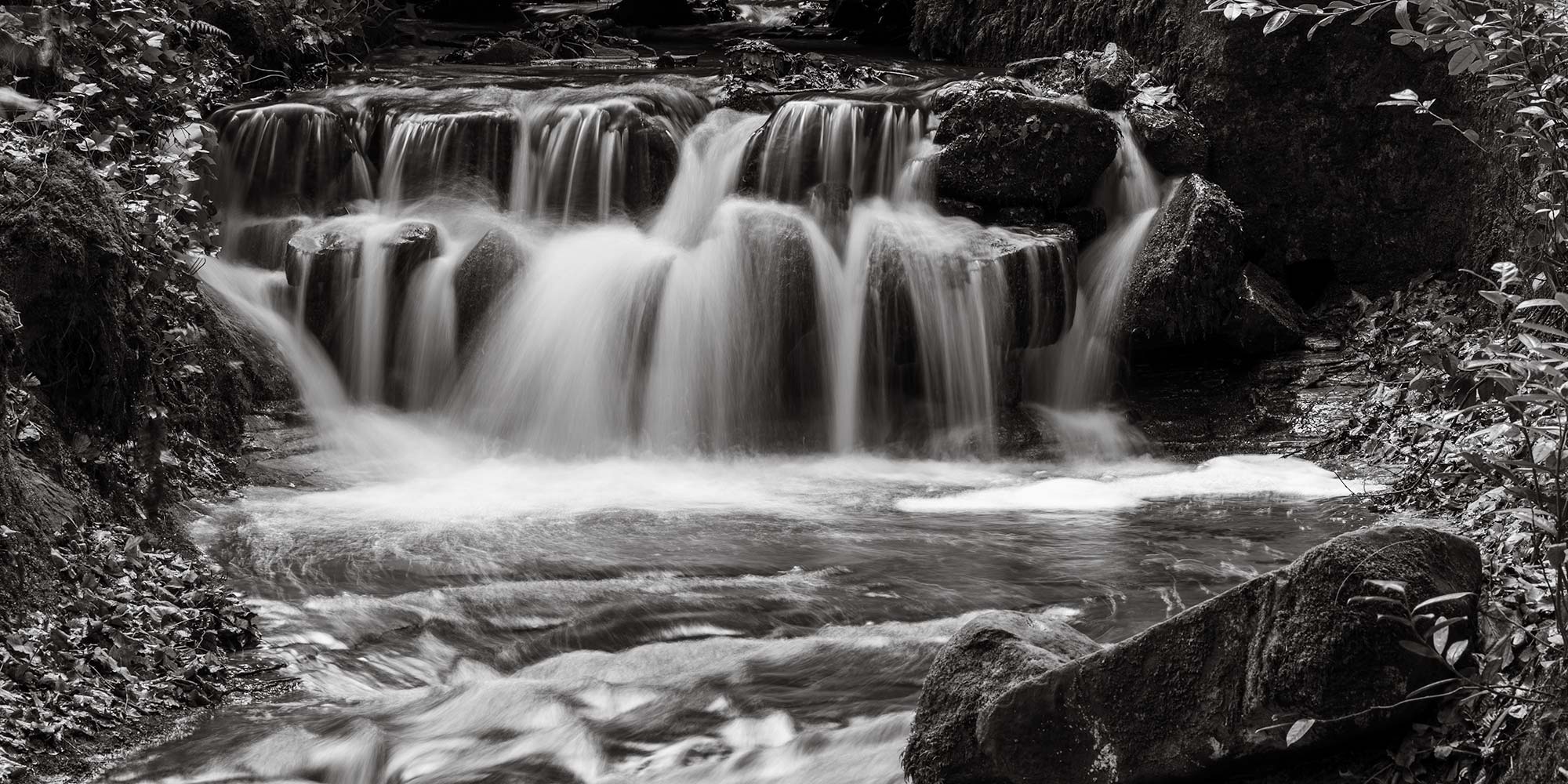 Maspie Den Waterfall Falkland Scotland