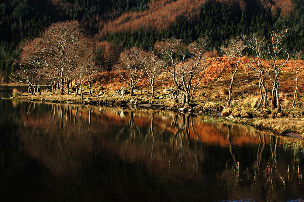 Perthshire autumn colours