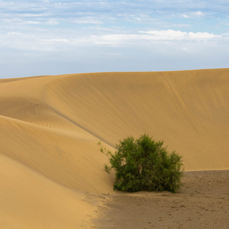 Maspalomas in Gran Canaria