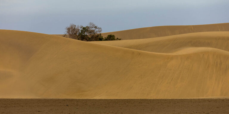 Maspalomas in Gran Canaria