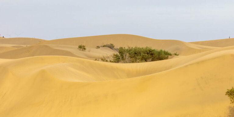 Maspalomas in Gran Canaria