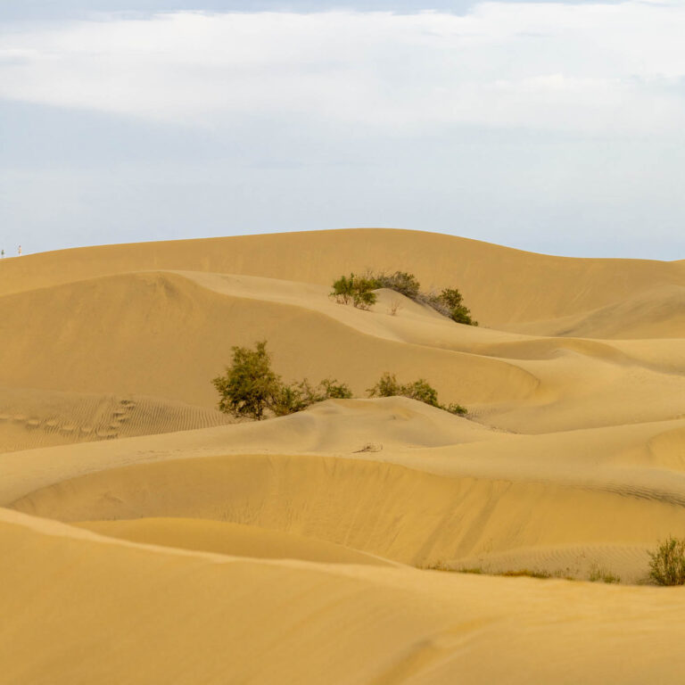 Maspalomas in Gran Canaria