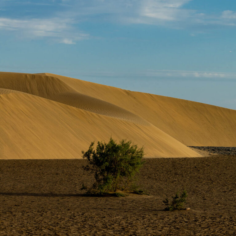 Maspalomas in Gran Canaria