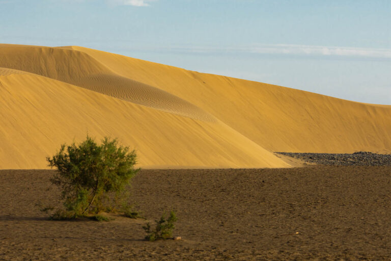 Maspalomas in Gran Canaria