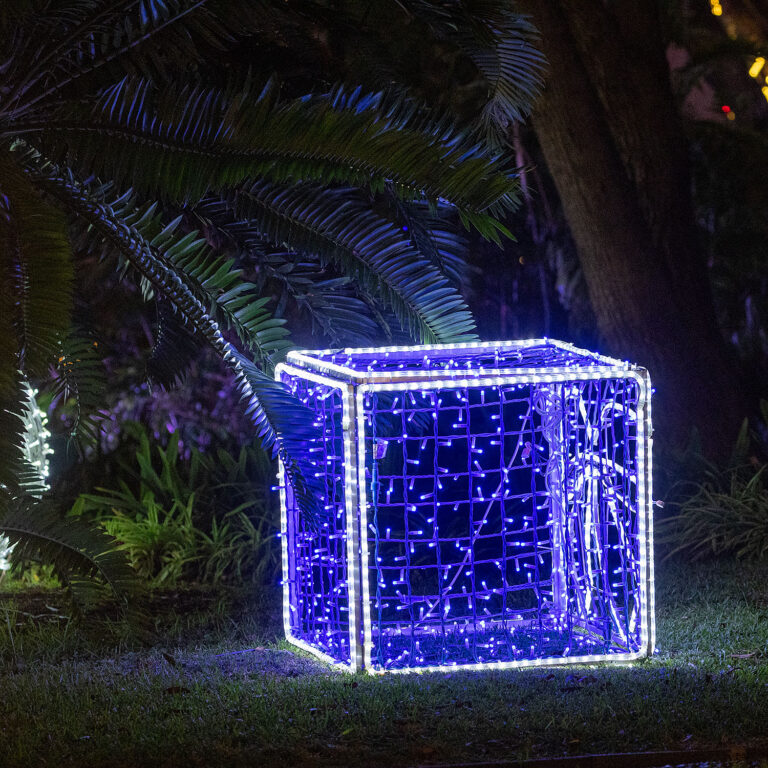Christmas lights in Funchal Madeira