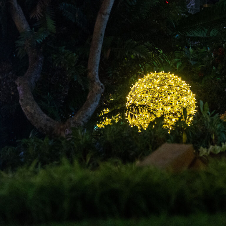 Christmas lights in Funchal Madeira