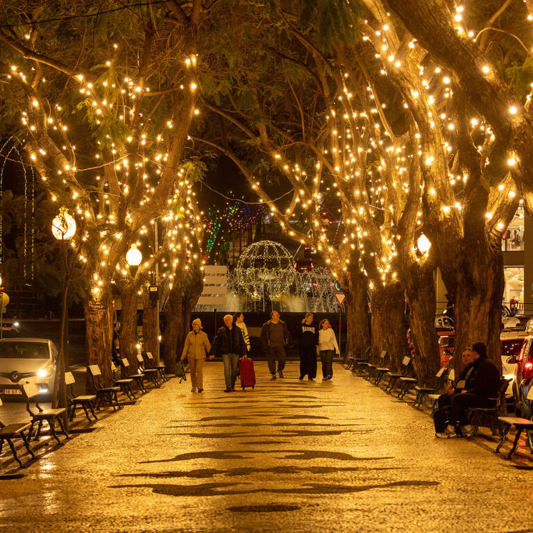 Christmas lights in Funchal Madeira