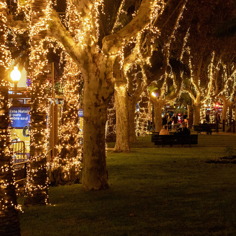 Christmas lights in Funchal Madeira