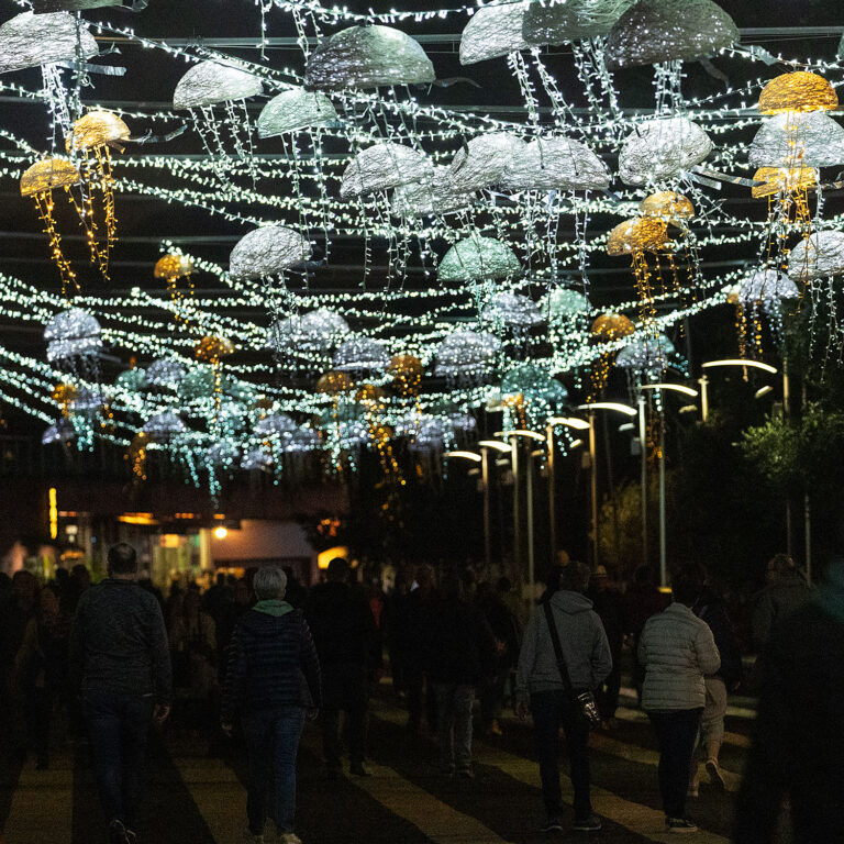 Christmas lights in Funchal Madeira