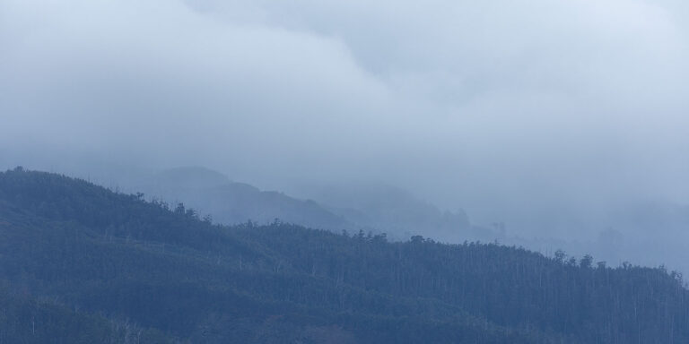 Madeira misty mountains