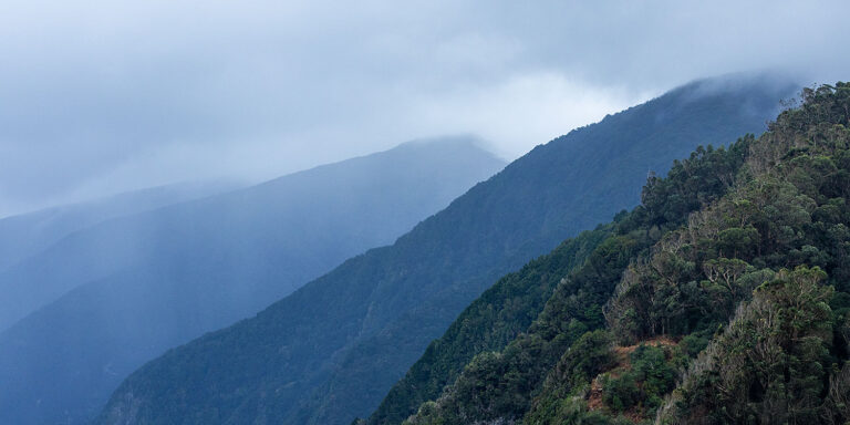 Madeira misty mountains