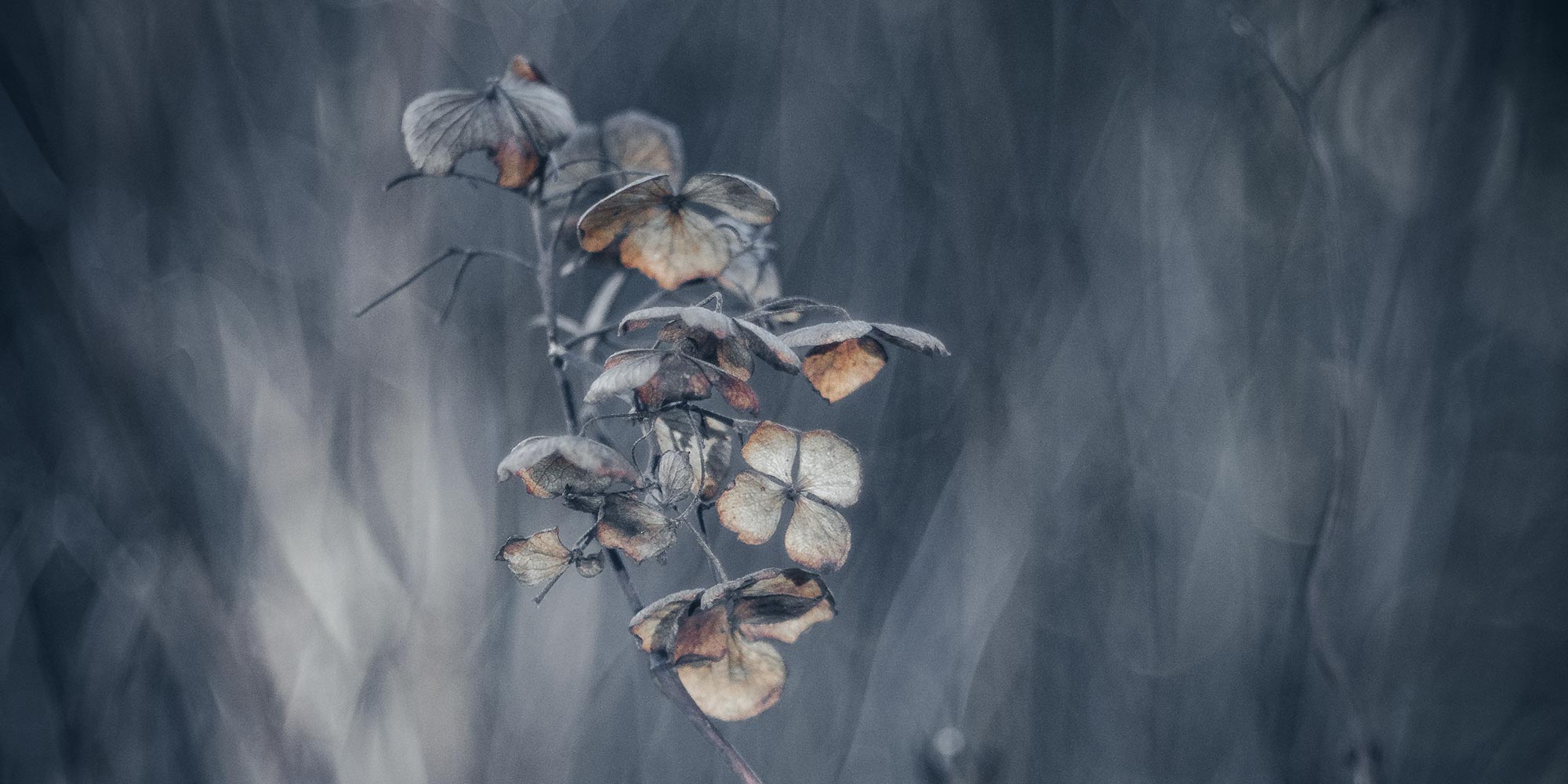 winter mood photo art