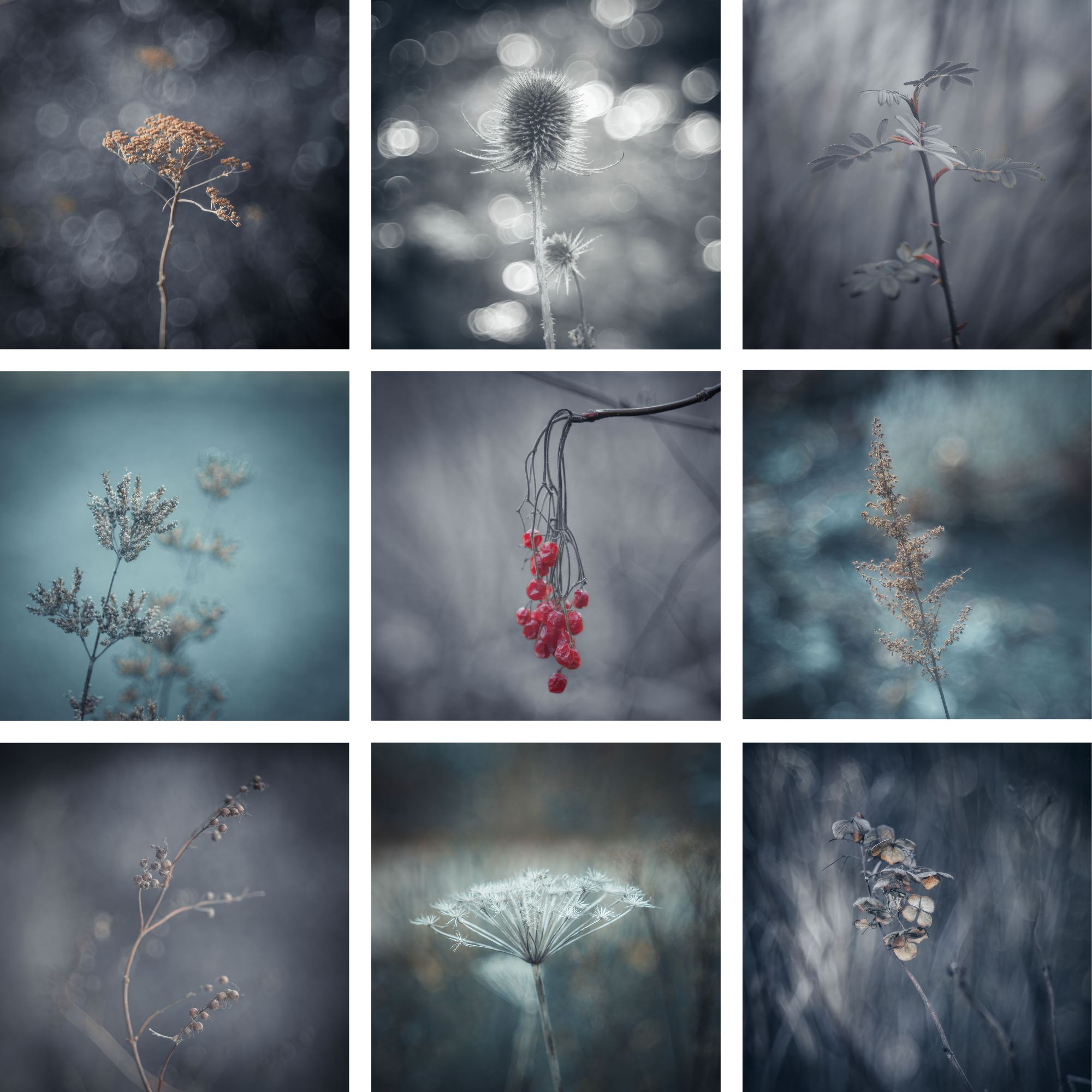 winter mood photography Scotland