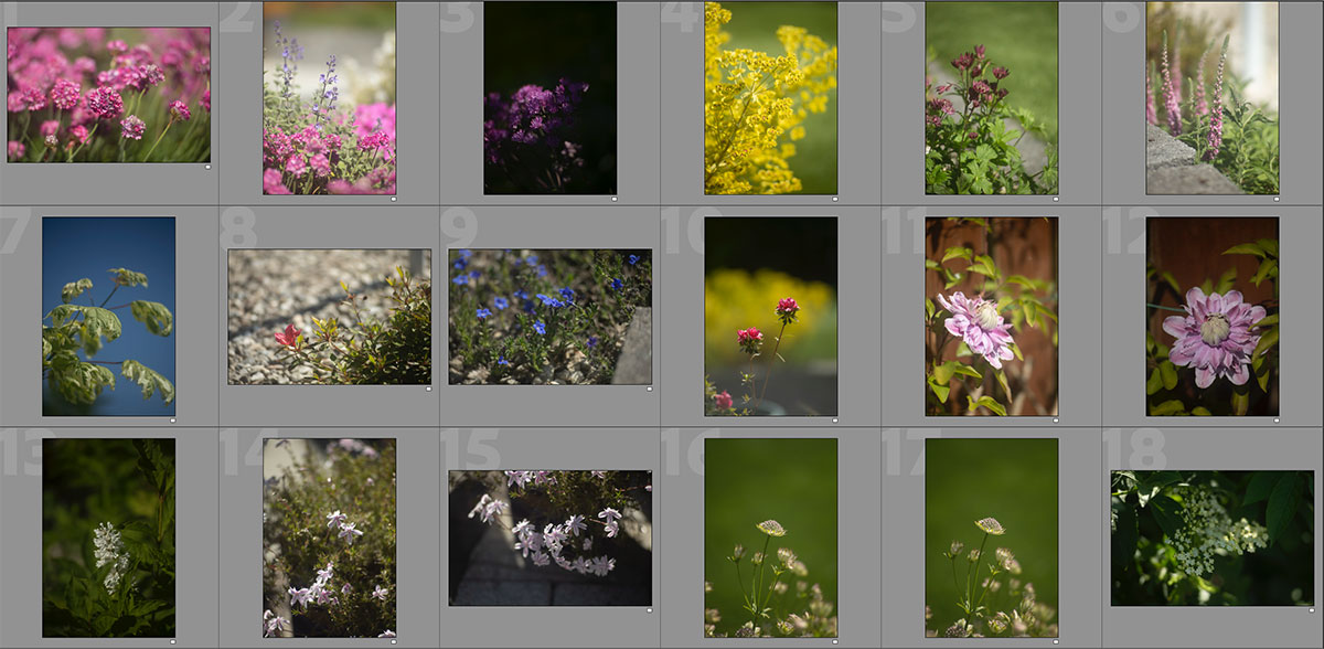 pentacon 135 2.8 colours are amazing
