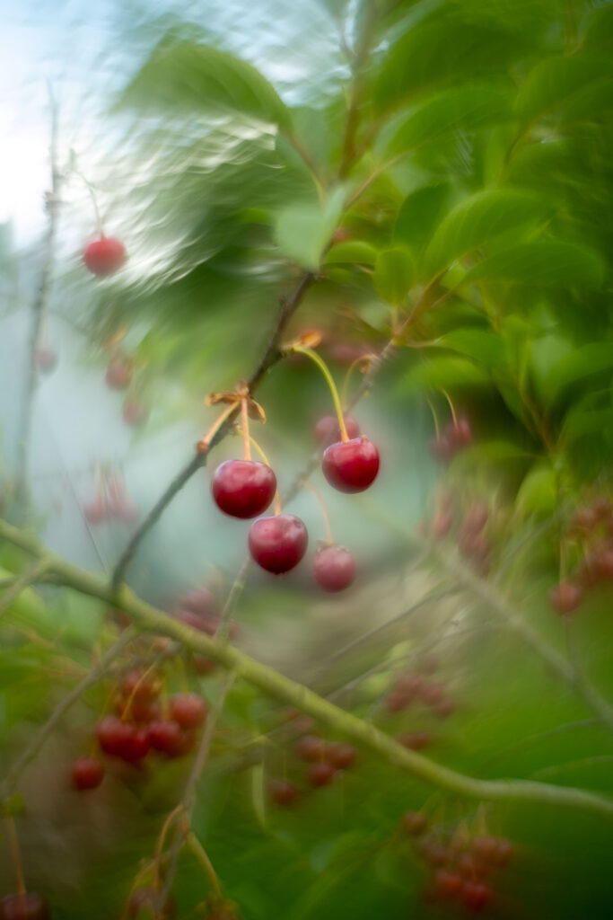 Helios 44-2 with reversed front Element - sample photo