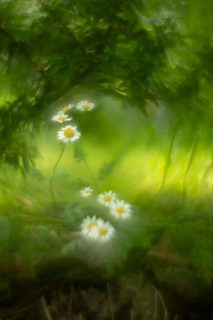 Helios 44-2 with reversed front Element - sample photo